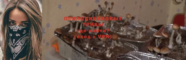 гидра Кинешма